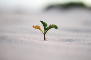 Fear of failure